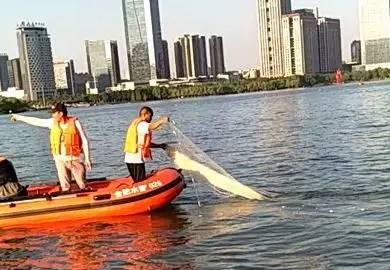 合肥天鹅湖最新爆料微博,揭秘湖畔新景观与生态变迁  第1张