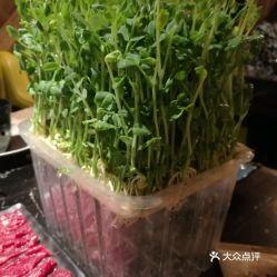 潮汕小豆苗爆料视频,揭秘潮汕美食背后的故事 第1张 潮汕小豆苗爆料视频,揭秘潮汕美食背后的故事 第1张